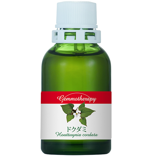 GM)ドクダミ ジェモエッセンス ホメオパシージャパン