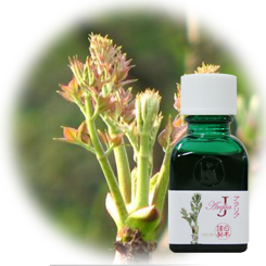 HJチンクチャー アラリアJ (小20ml)