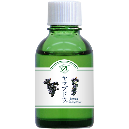 MT)ヤマブドウ Φ 小 20ml マザーチンクチャー ホメオパシージャパン