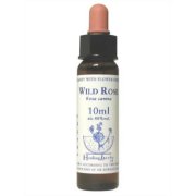 ワイルドローズ Wild Rose　ヒーリングハーブ バッチフラワーエッセンス